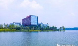 成都白沙湖最新爆料信息,揭秘生态公园蜕变与周边发展新动向